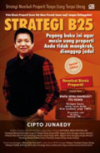 Image of Strategi B25